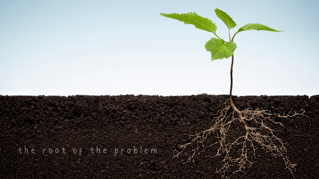 The root of the&nbsp;problem